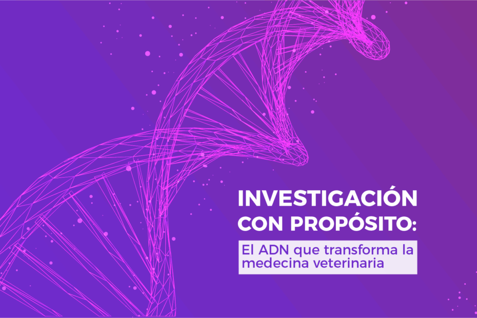 investigación veterinaria