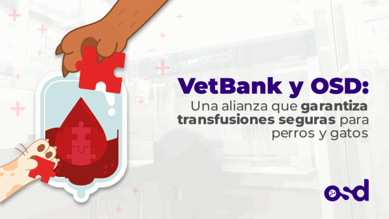 Donación de sangre para mascotas en Colombia