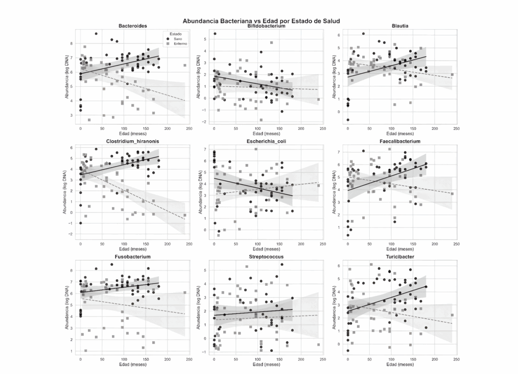 Abundancia bacteriana por edad en gatos sanos y enfermos