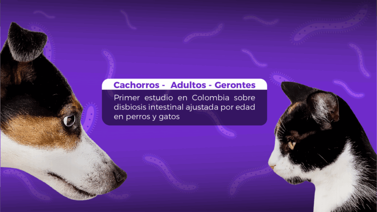 Microbiota intestinal en perros y gatos según la edad