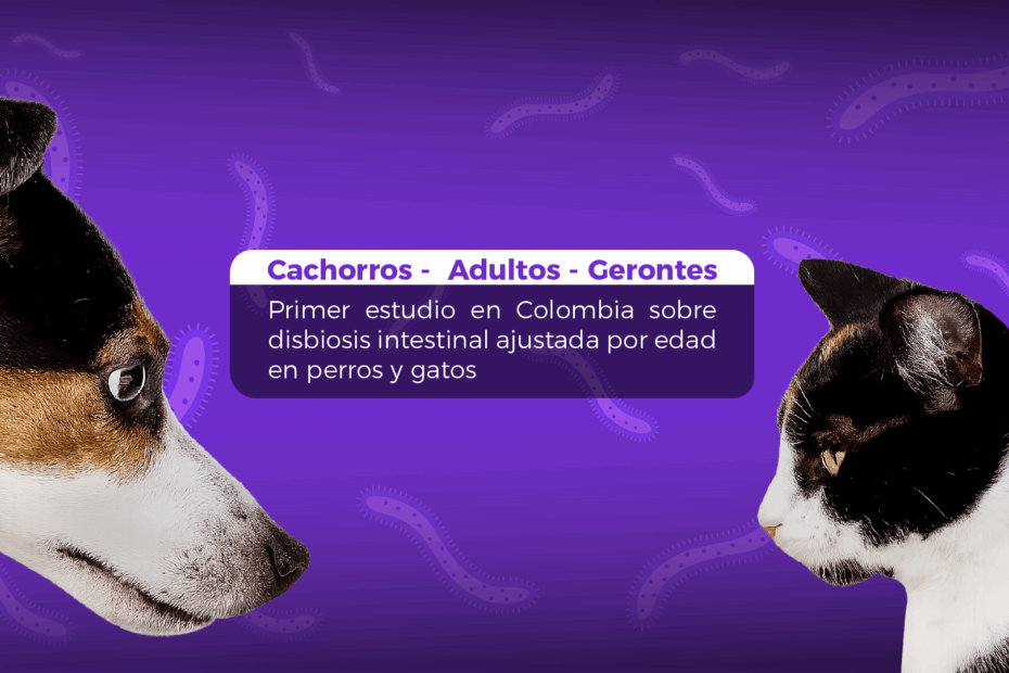 Microbiota intestinal en perros y gatos según la edad